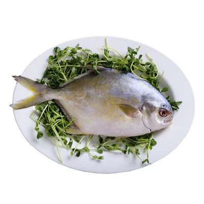 Seafood